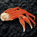 SNOW CRAB