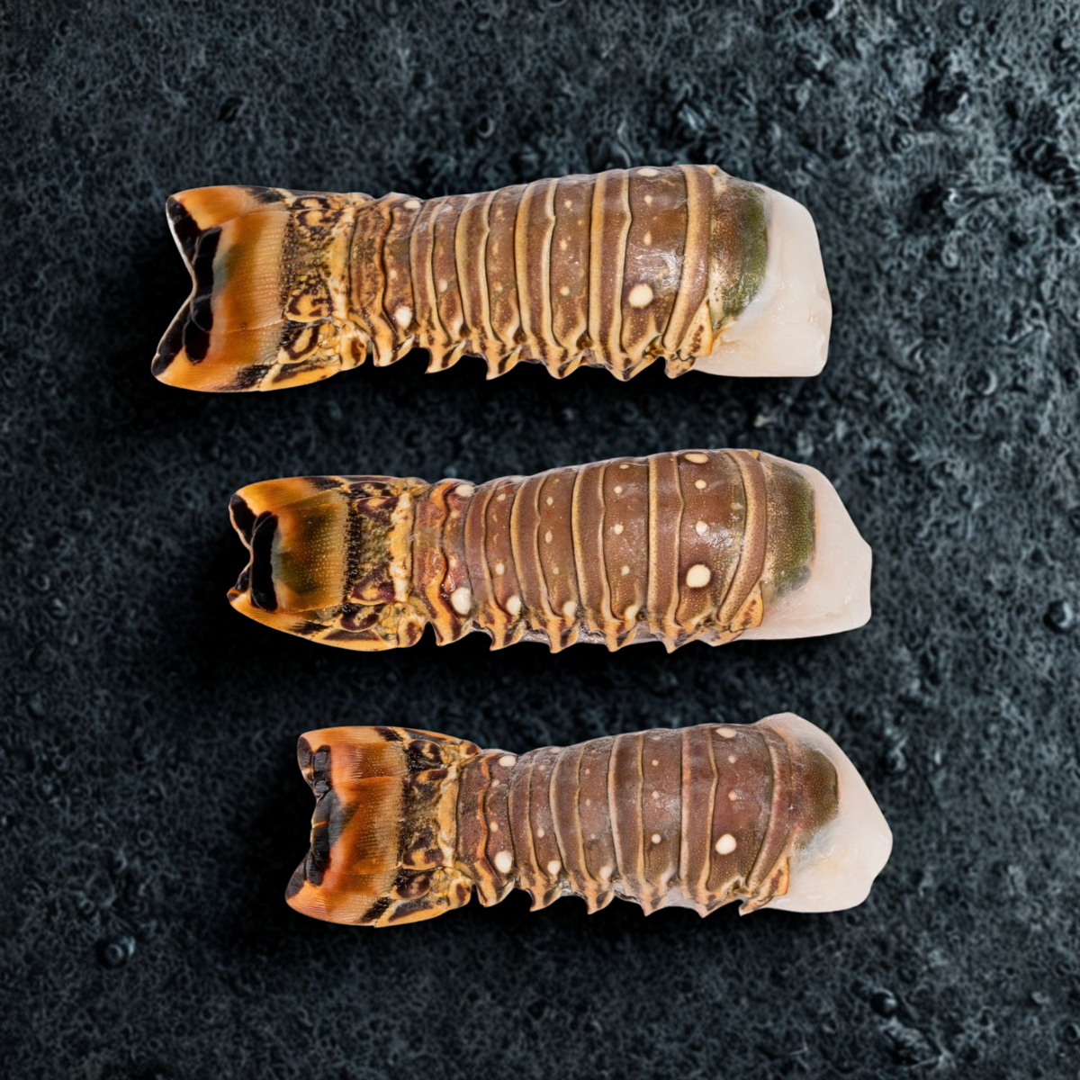 CARIBBEAN LOBSTER TAILS