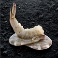 JUMBO SHRIMP